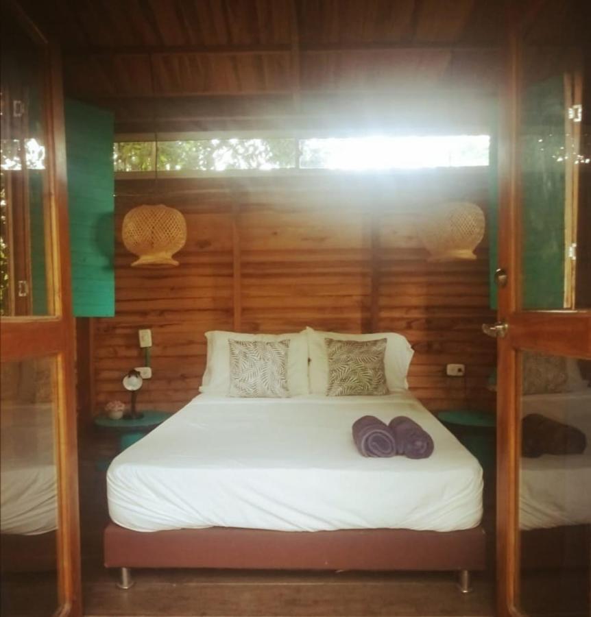 Freesoul Hostel パロミノ エクステリア 写真